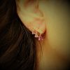 DSC0370421 Γυναικεία σκουλαρίκια LAURA P. Pink Lady από ασήμι 925 με φλοιό χρυσού και ζιργκόν